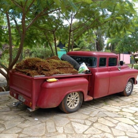 ford-1956-100-hilux-big-1