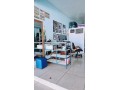 sapataria-zaz-traz-small-4