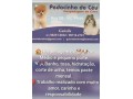 pedacinho-do-ceu-hospedagem-para-caes-small-4