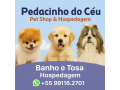 pedacinho-do-ceu-hospedagem-para-caes-small-1