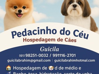pedacinho-do-ceu-hospedagem-para-caes