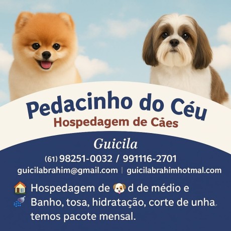 pedacinho-do-ceu-hospedagem-para-caes-big-0