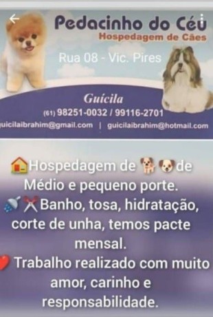 pedacinho-do-ceu-hospedagem-para-caes-big-4