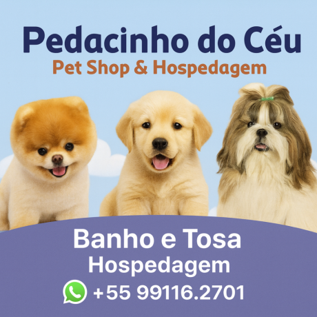 pedacinho-do-ceu-hospedagem-para-caes-big-1